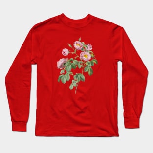 Vintage Tomentose Rose Botanical Illustration Long Sleeve T-Shirt